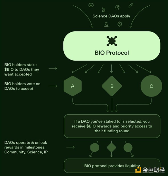 DeSci领域新星BIO协议:去中心化生物技术研究的未来