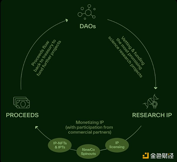 DeSci领域新星BIO协议:去中心化生物技术研究的未来